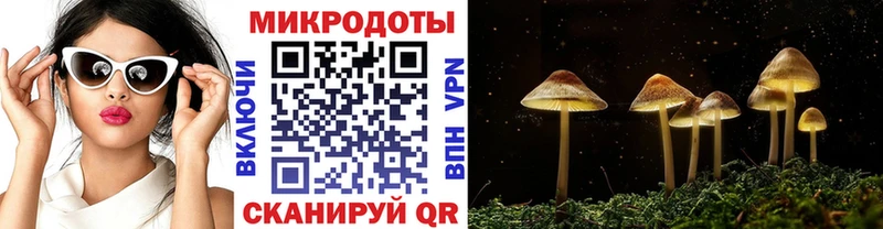 Галлюциногенные грибы ЛСД  Омутнинск 